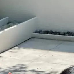 Profile image of 유튜버의 아기 체험