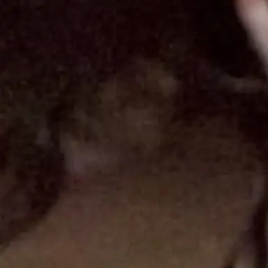 Profile image of 中村駿希