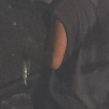 Profile image of 숝영