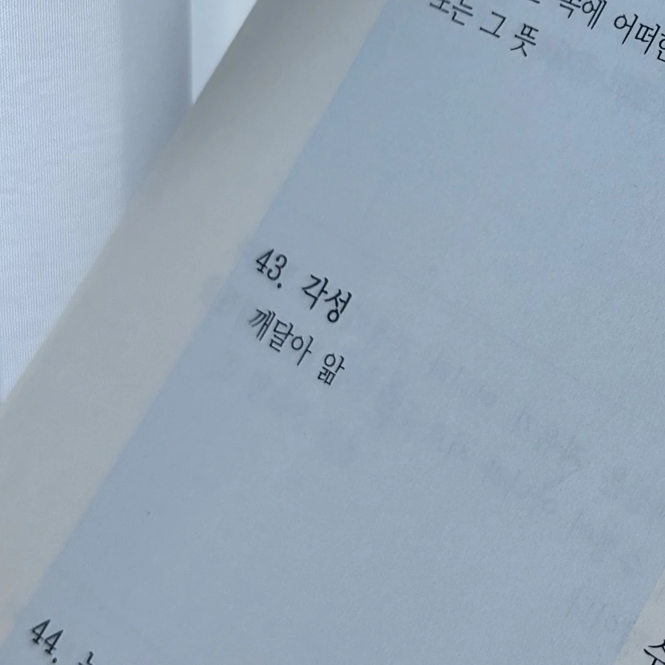 혁명