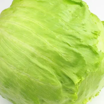 Profile image of 嘉孝