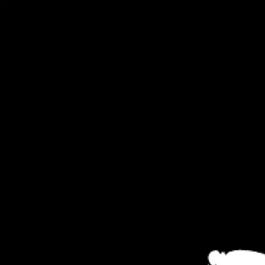 mne1002sskd의 륩켮칷