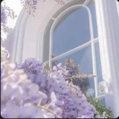 Profile image of 수현 루마니아