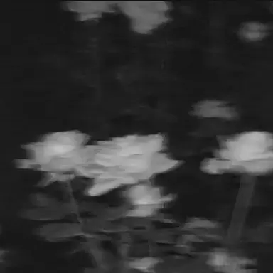 Profile image of 채스터