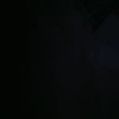 Profile image of 여우