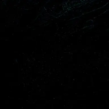 Profile image of 영탁