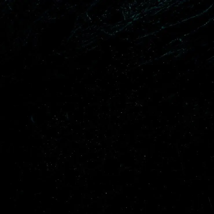 Kiatigerslovers의 성영탁