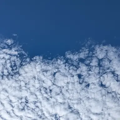 Profile image of ニノマエ