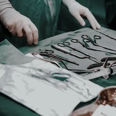 Profile image of 김남우