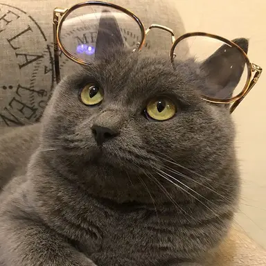 Profile image of 仁木