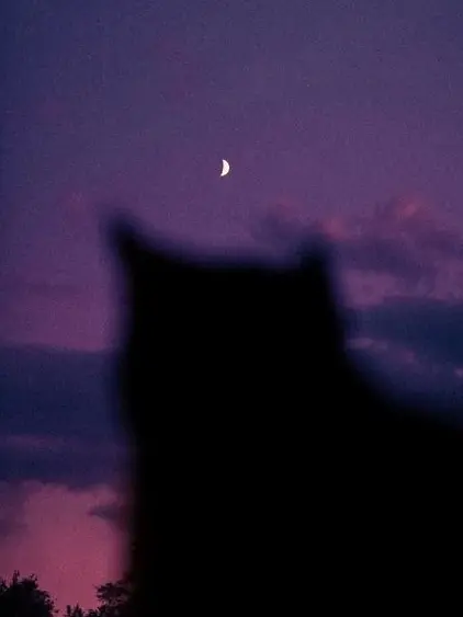 BlandTetra8819의 苦手な先輩...