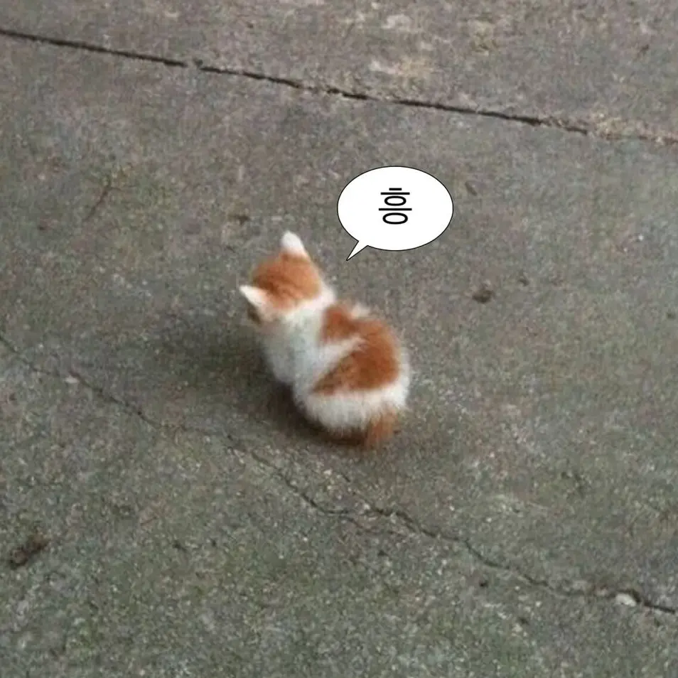 sublove의 방찬