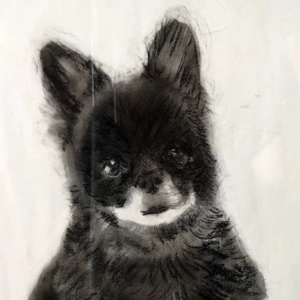 クロピ