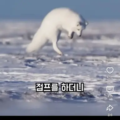 Profile image of 여우