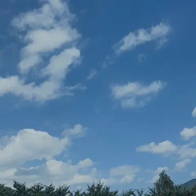 Profile image of 감제이