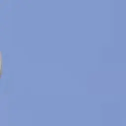 Profile image of ゲスト1337