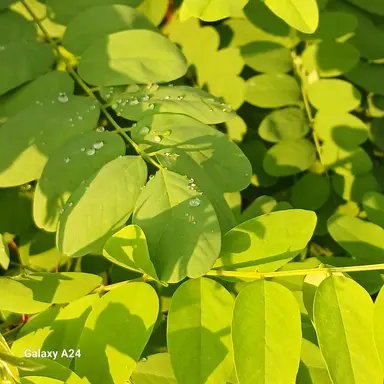 Profile image of 박교육