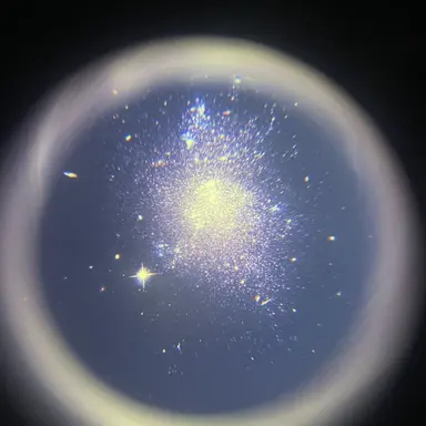 Profile image of 吉田仁人