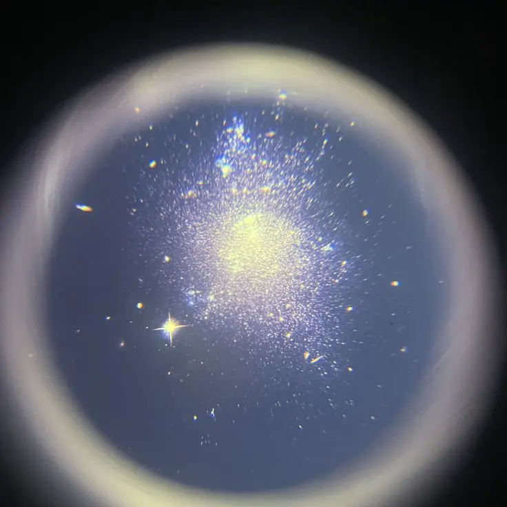 FluffyBread3167의 吉田仁人