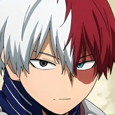 Profile image of Todoroki