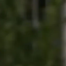 이지훈