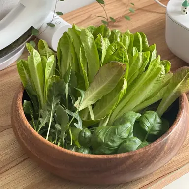 Profile image of 운터