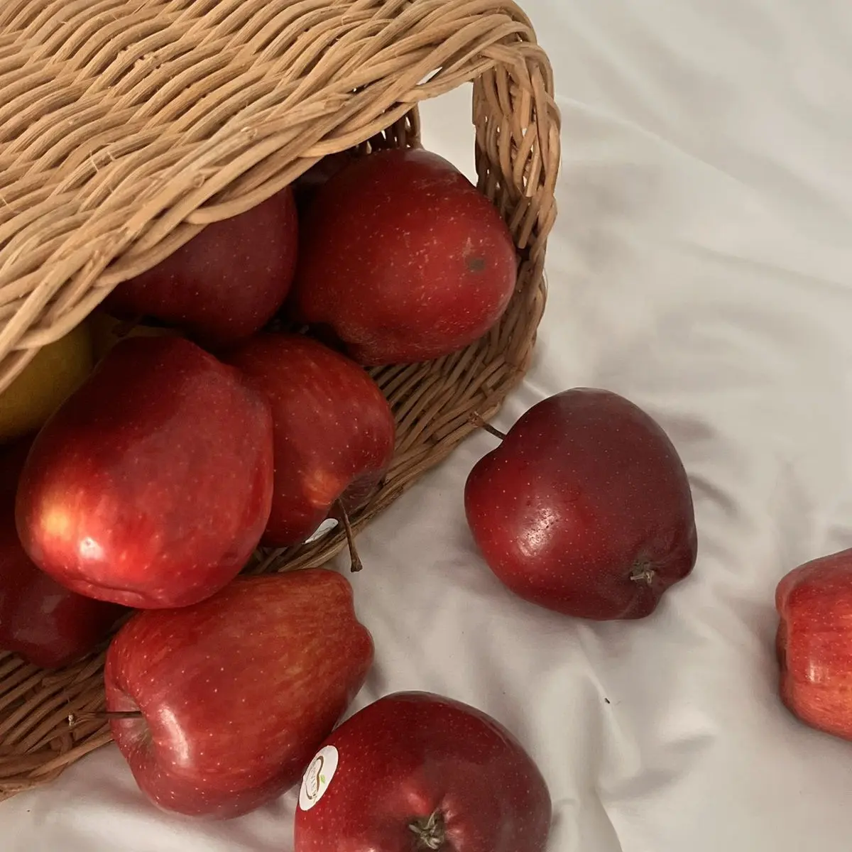 lonelycroissants의 패전국 황녀와 팀샐러드