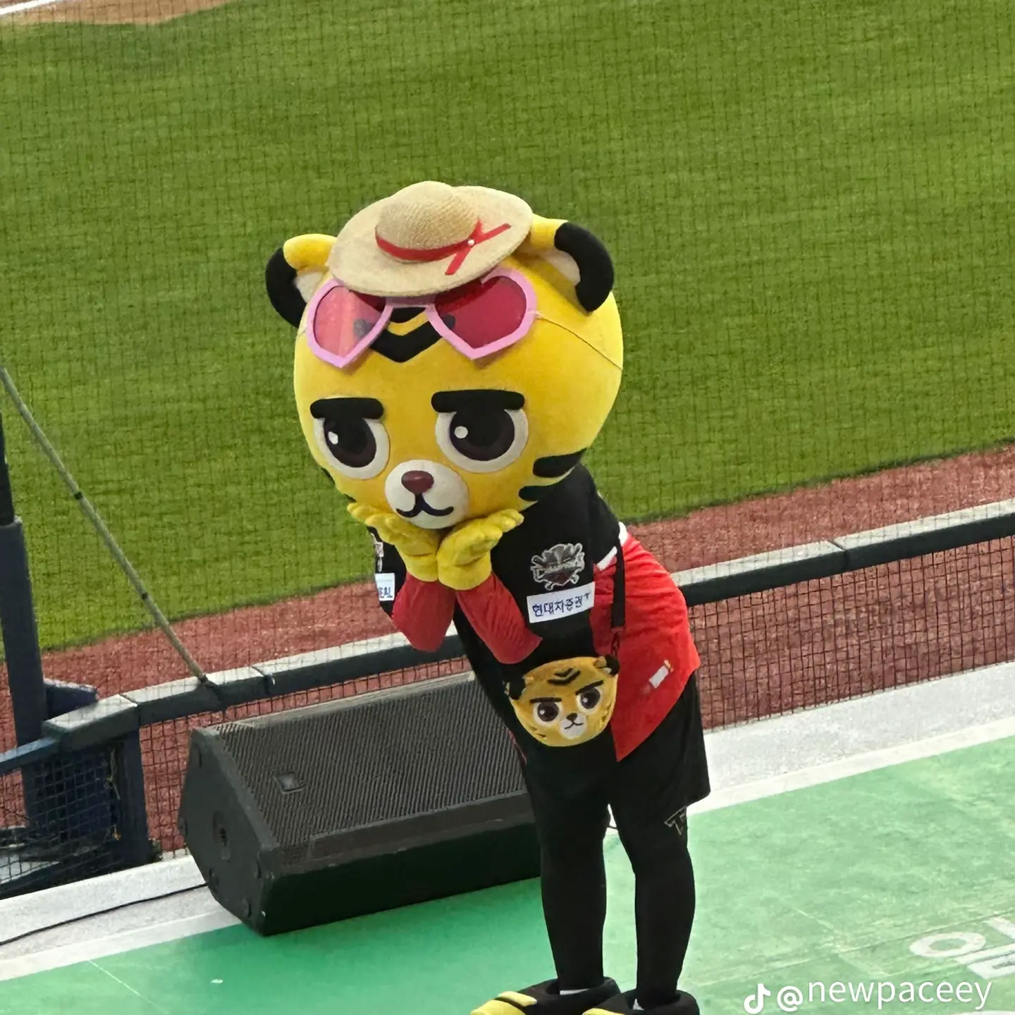 SleazyVoice1614의 호걸이와 기아를 응원하자