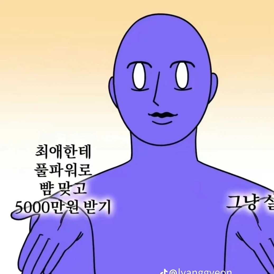 해설자