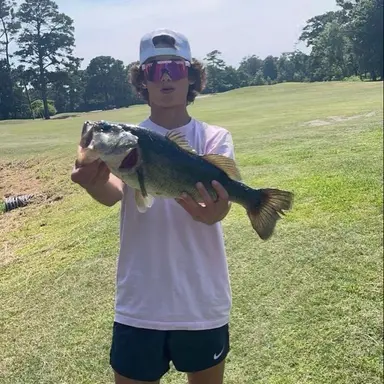 Profile image of Ethan