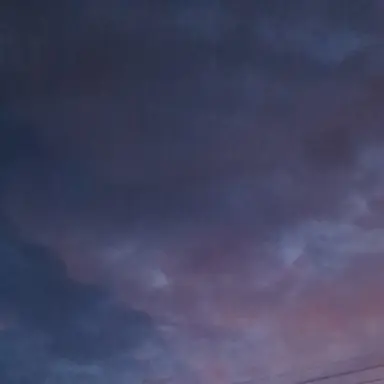 Profile image of 주인장