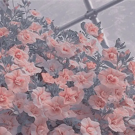 LLL11211223의 티안