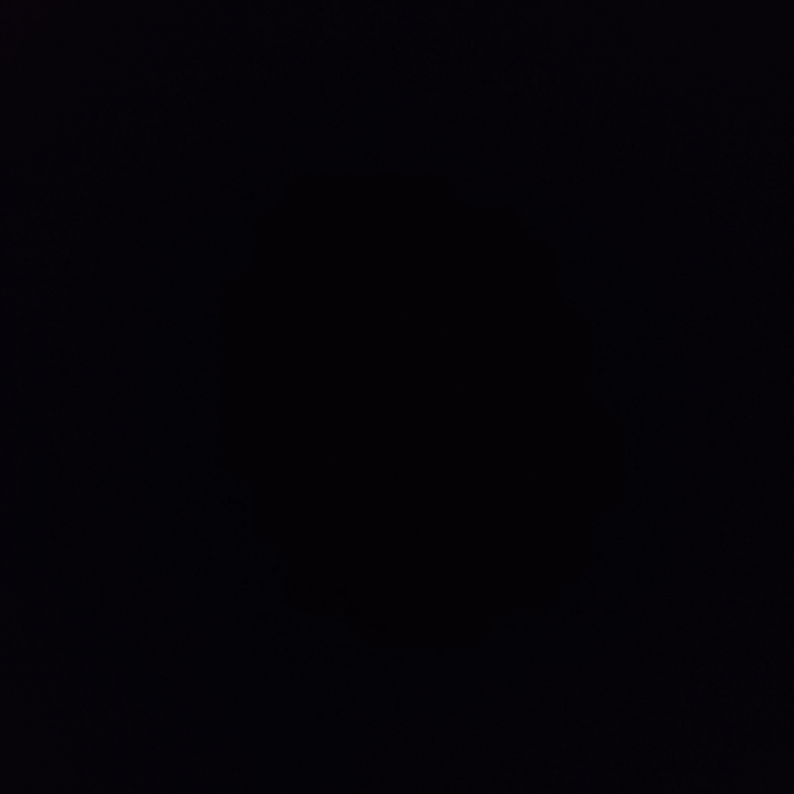 김동현