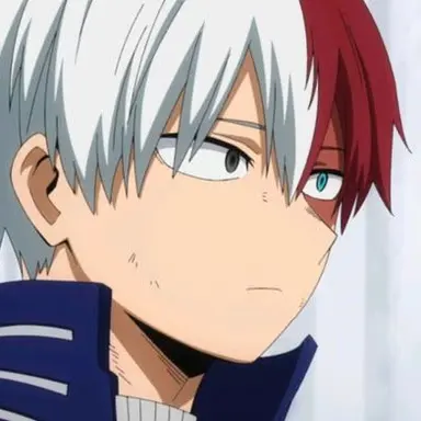 Profile image of Shoto Todoroki