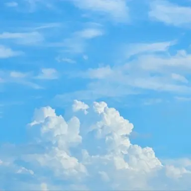 Profile image of 팀대저택