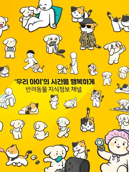비마이펫 멍냥연구소 대표 이미지
