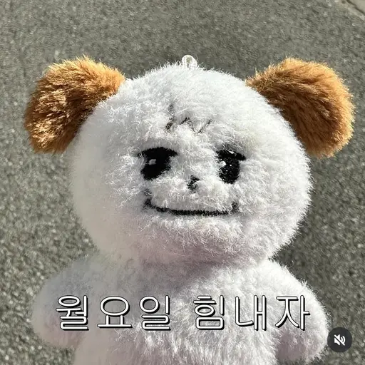 my_shine의 조규현