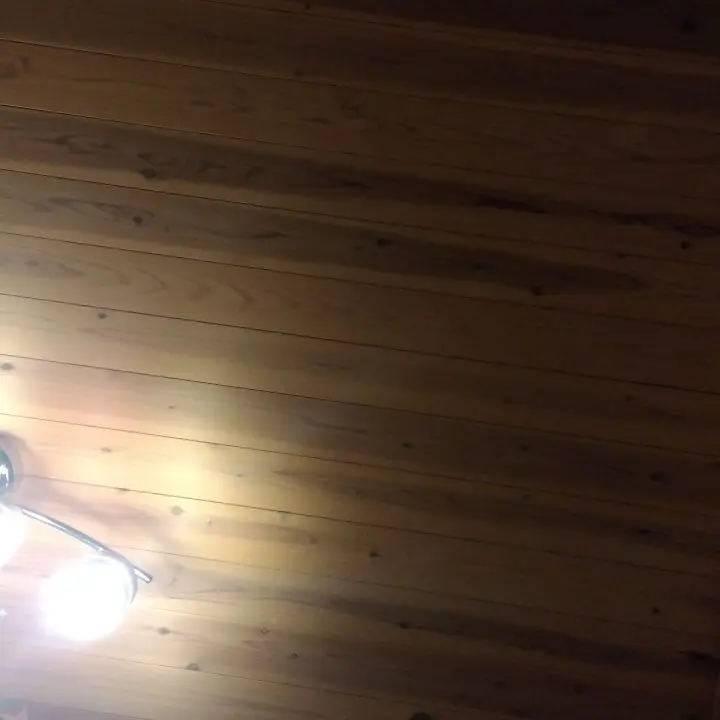 HazyHiker3367의 貴方が好き過ぎて甘々な大阪とにゃぽ