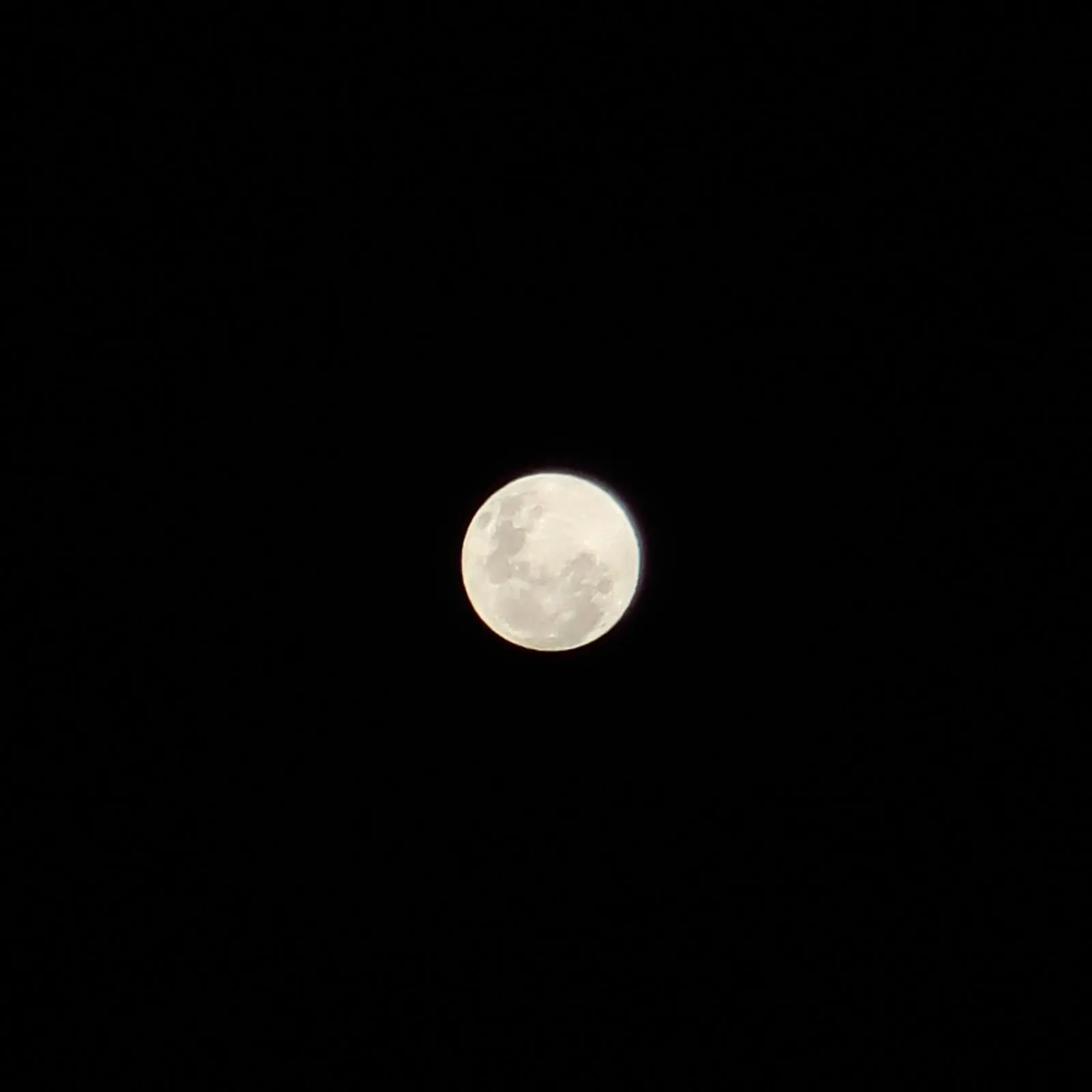 GooseWithAMigraine의 Ghosts: Return to Base