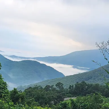 Profile image of 상인