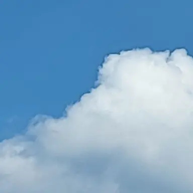 Profile image of 아름