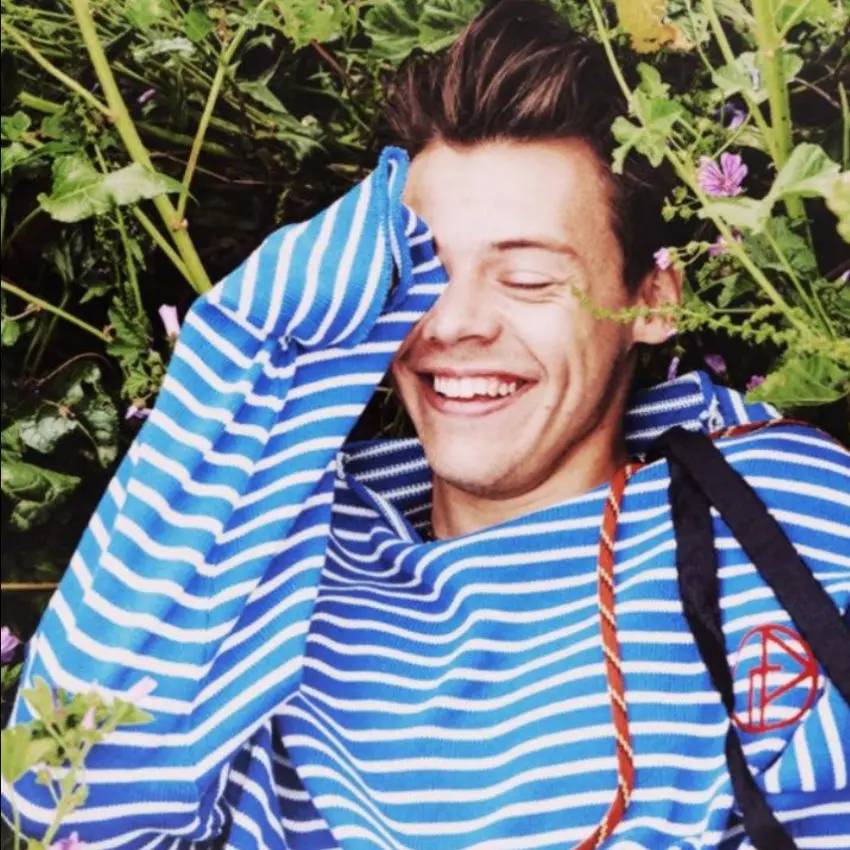 Elfie의 Harry Styles