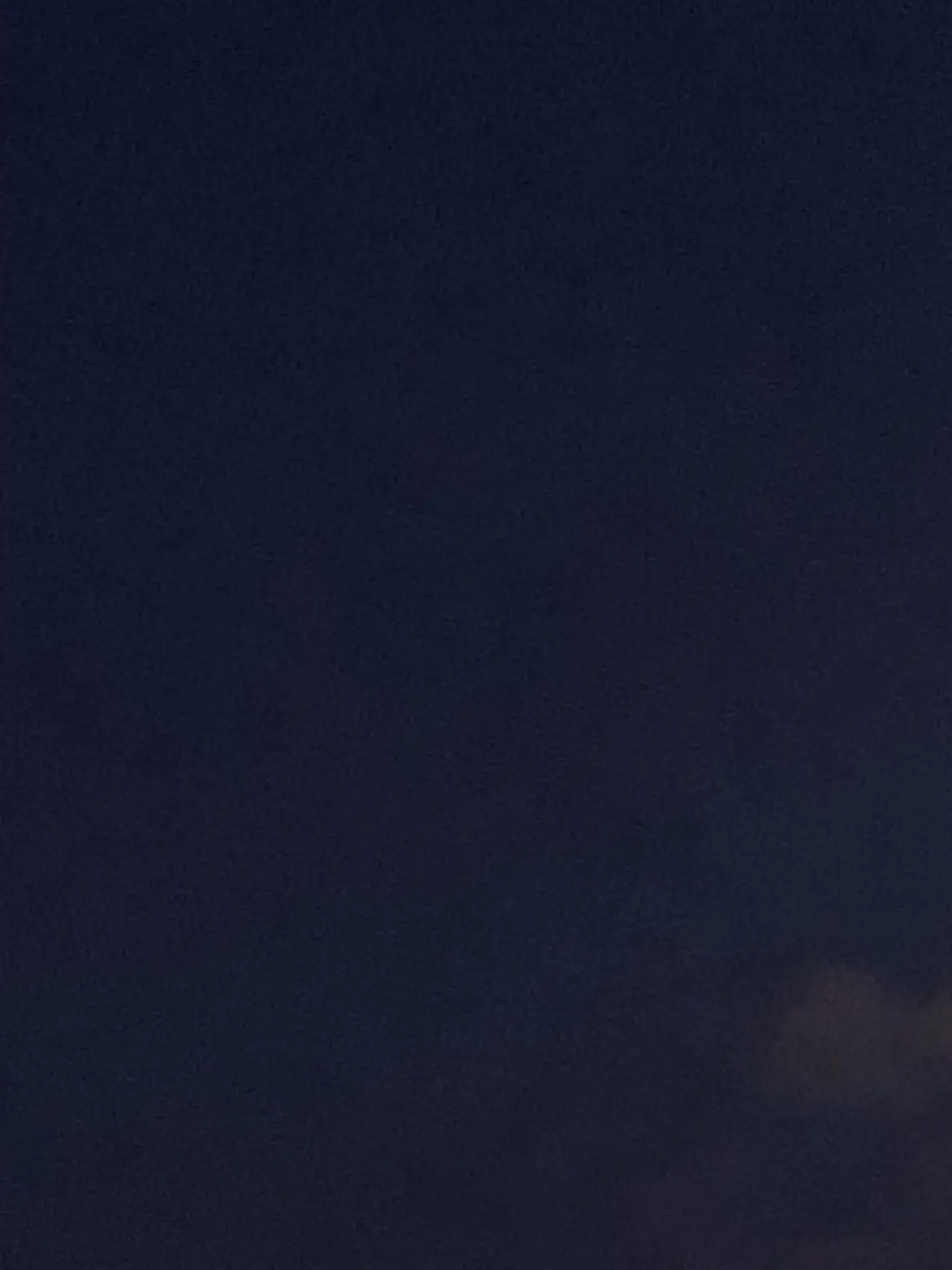 kamome_6의 愛猫。