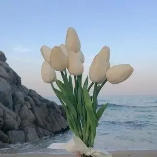 Profile image of 하주해