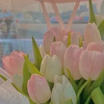 Profile image of 서라더