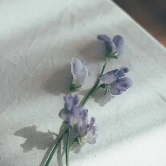 Profile image of 다이브