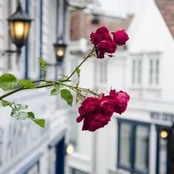 Profile image of 소소