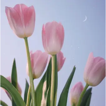 Profile image of 박잠뜰