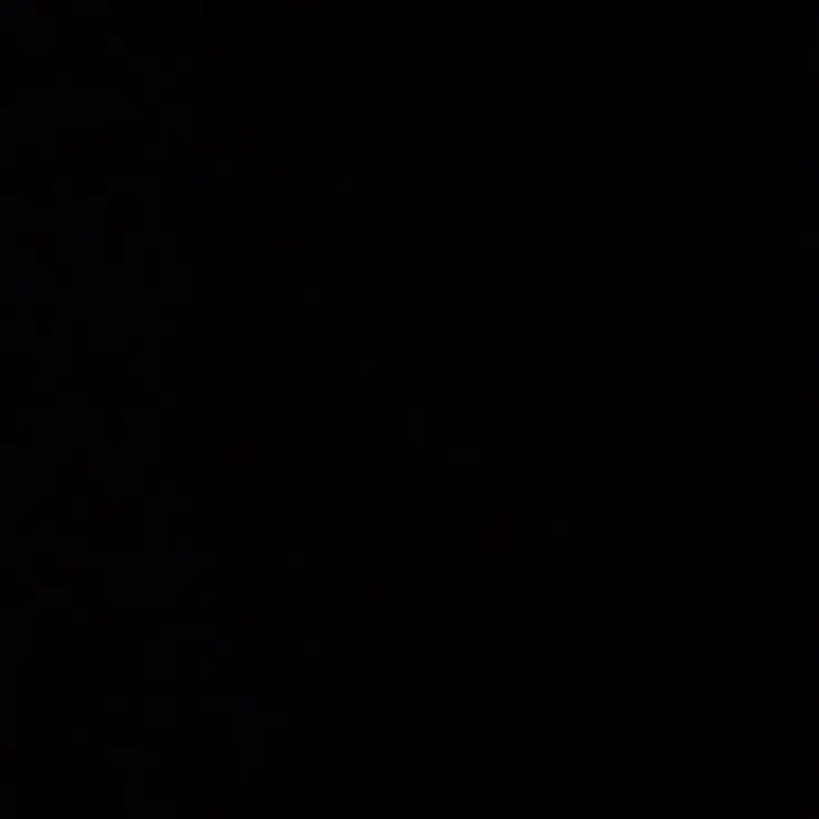 BlackBarb4488의 Adam