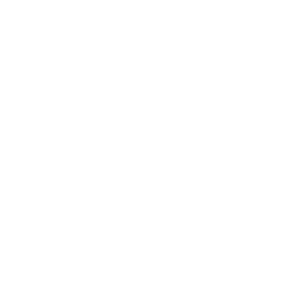 FairEmoji1240의 ジュッセンパイヤー島の戦い・戦争の裏技